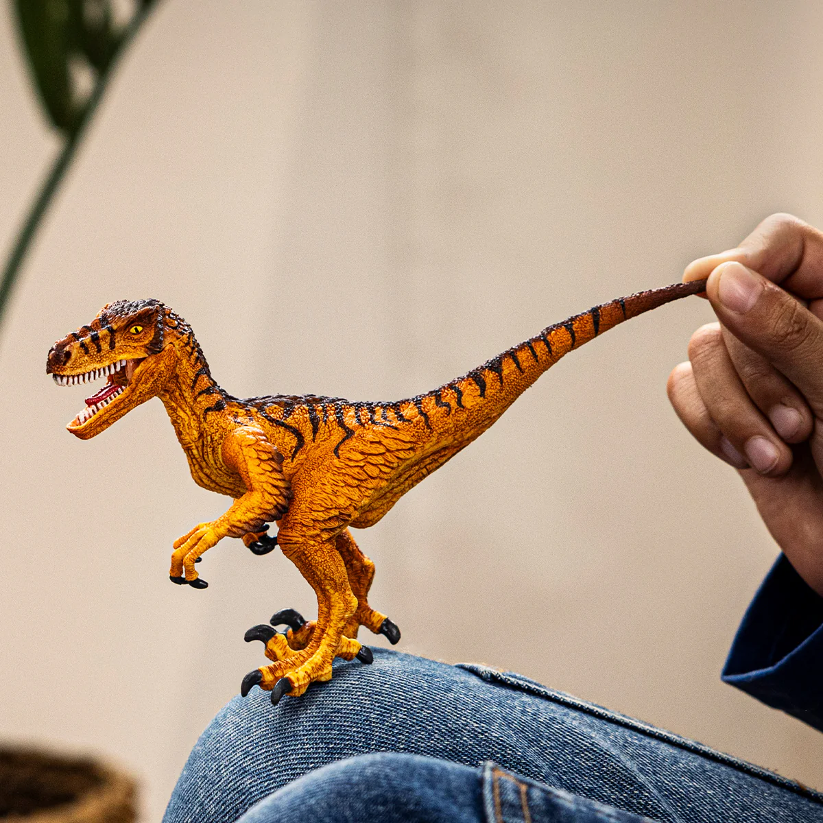 Velociraptor - Image 2
