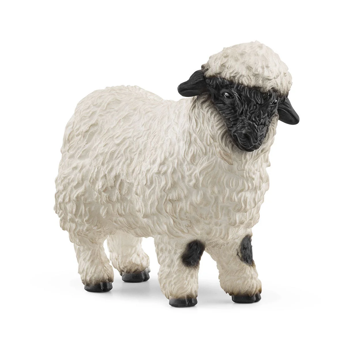 Miniatuur 1
