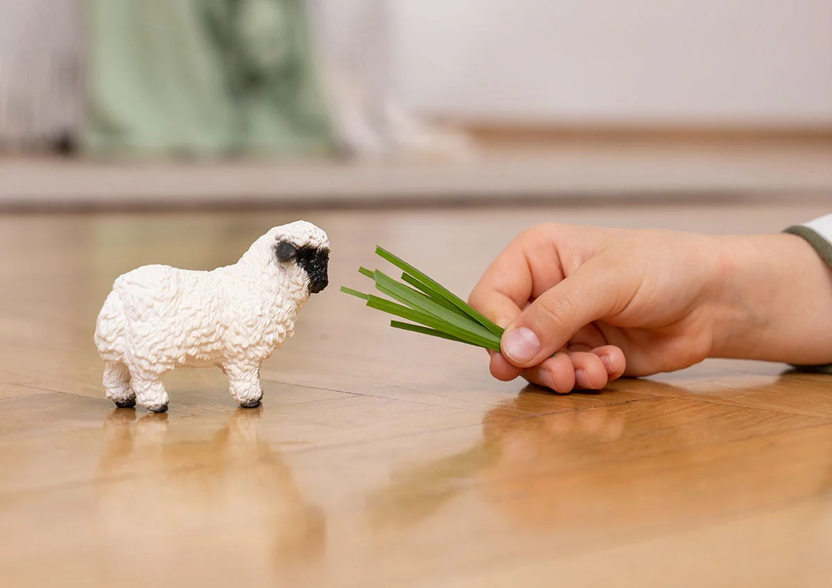 Miniatuur 2
