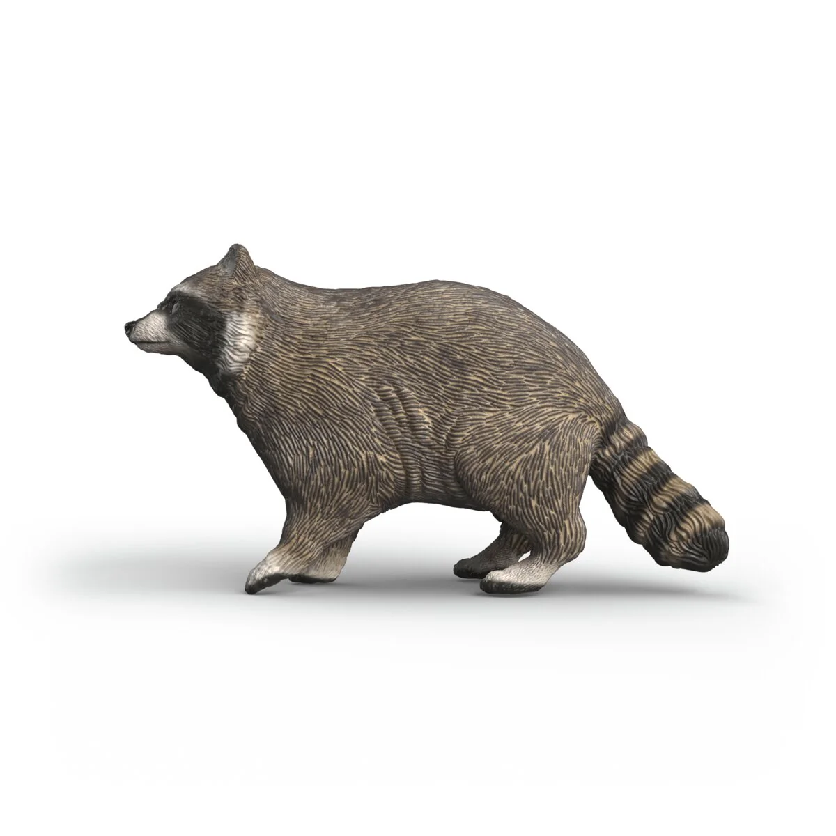 Wasbeer - Image 3