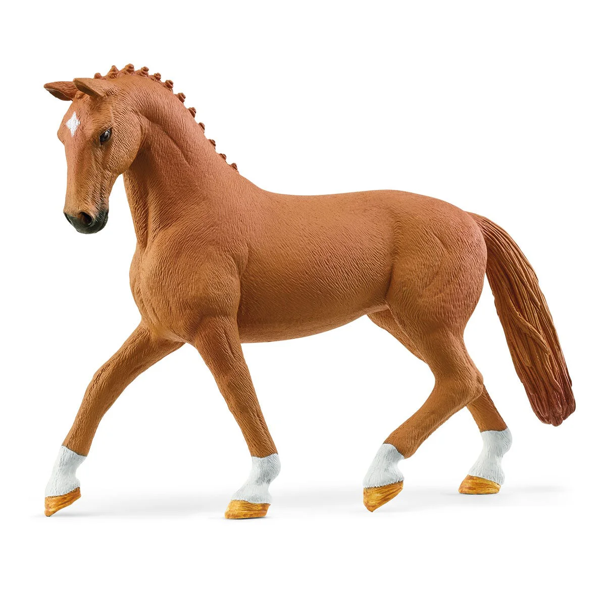 Wasplaats met paardenbox - Image 6
