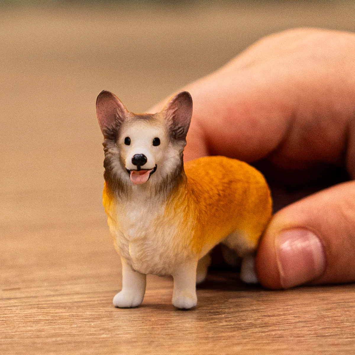 Welsh Corgi - Image 2