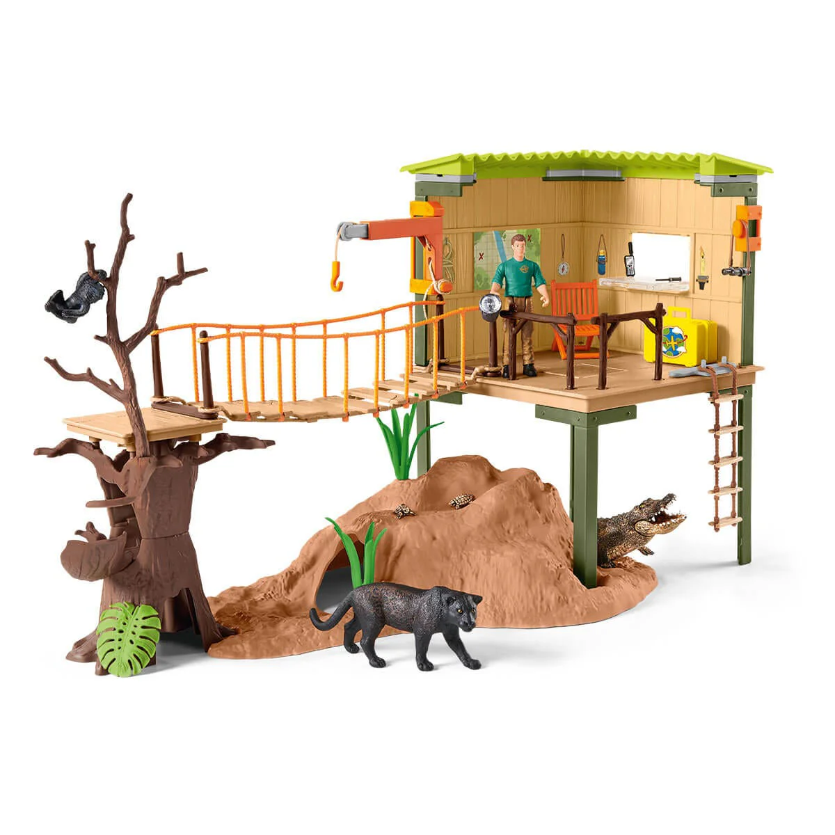 Miniatuur 1