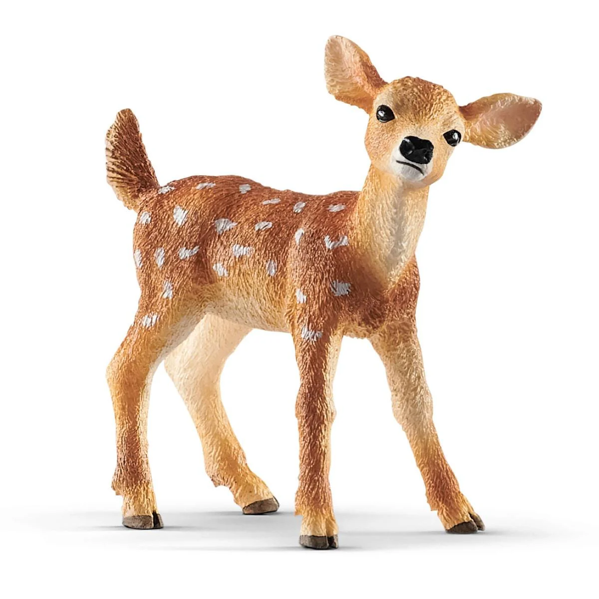 Miniatuur 1