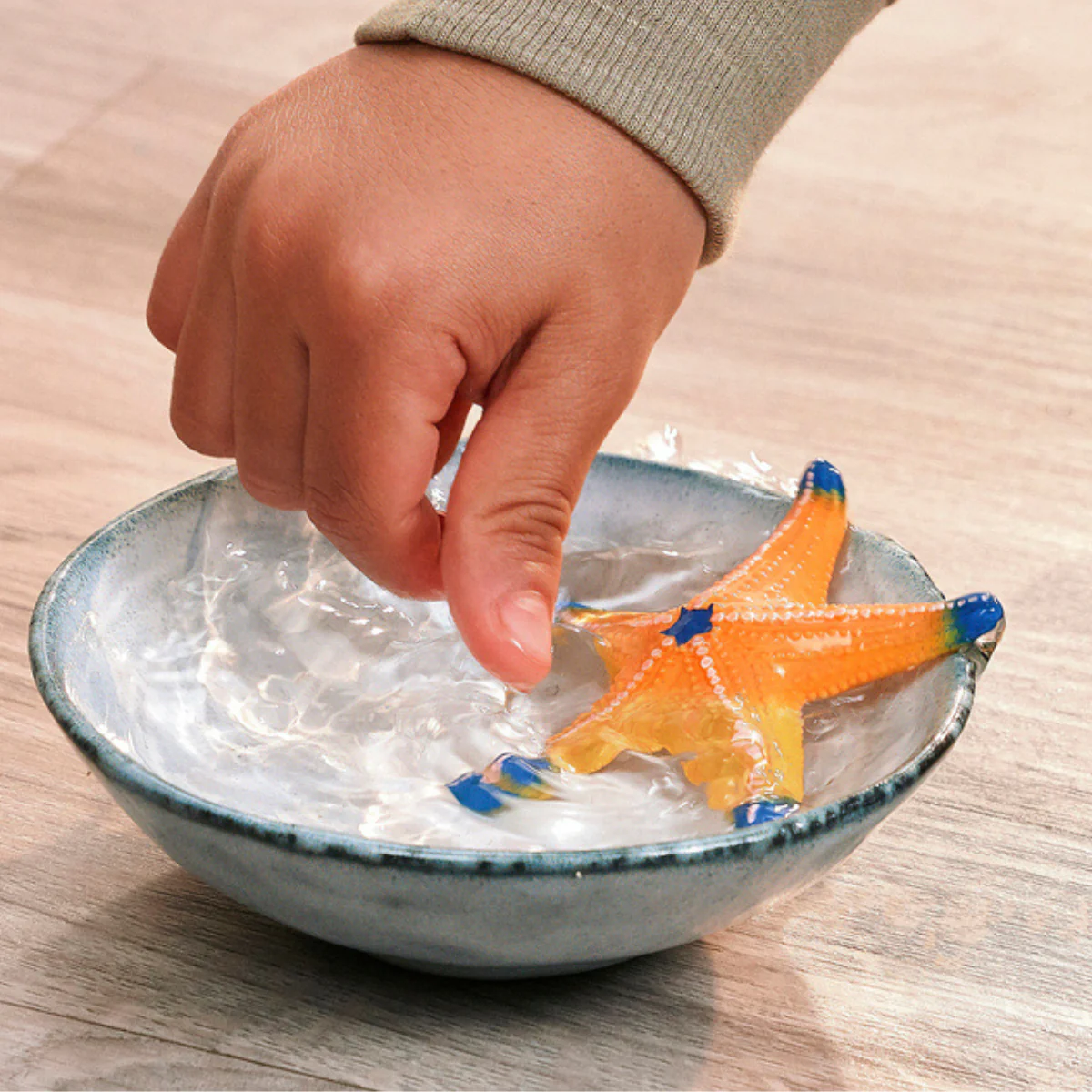 Zeester met kleurverandering - Image 2